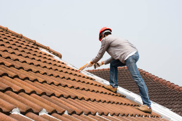 Best Roofing for New Construction  in Rising Sun Lebanon, DE