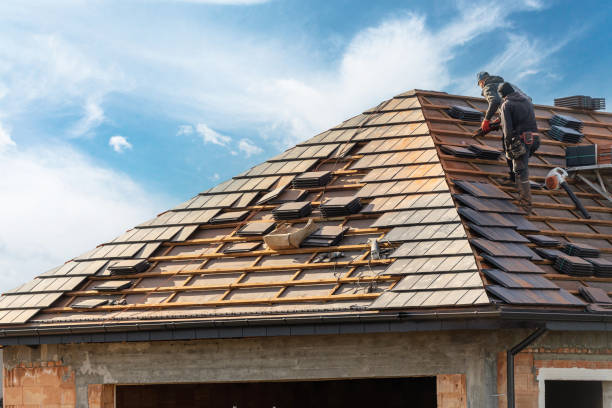 Best Skylight Installation and Repair  in Rising Sun Lebanon, DE